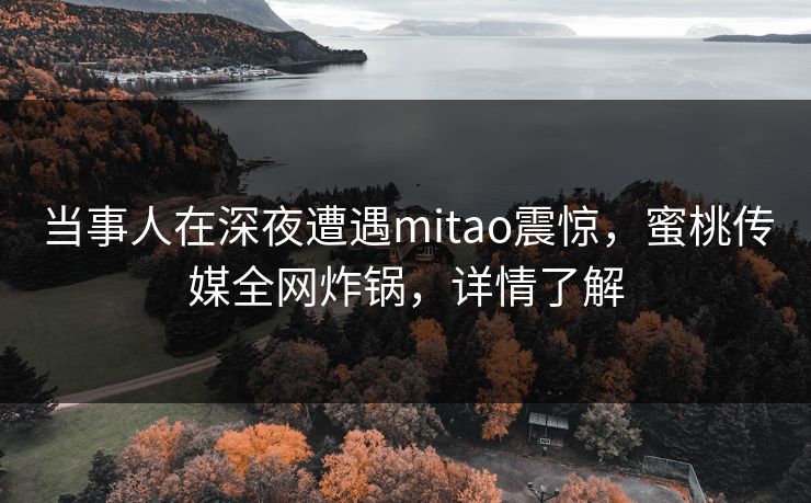 当事人在深夜遭遇mitao震惊，蜜桃传媒全网炸锅，详情了解