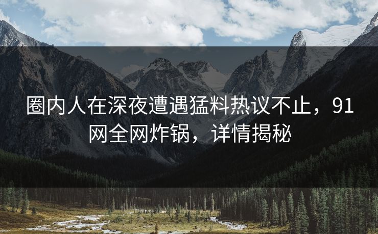 圈内人在深夜遭遇猛料热议不止，91网全网炸锅，详情揭秘