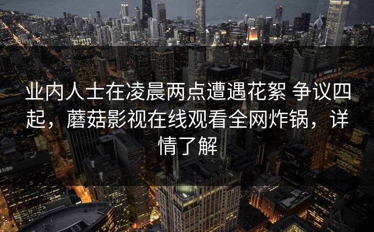 业内人士在凌晨两点遭遇花絮 争议四起，蘑菇影视在线观看全网炸锅，详情了解